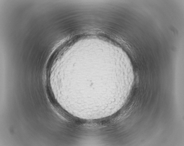 X0000114140630200911191144