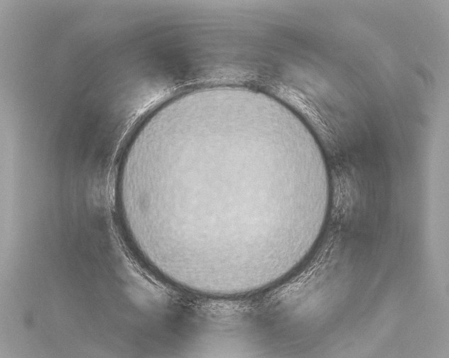 X0000114140632200911191144