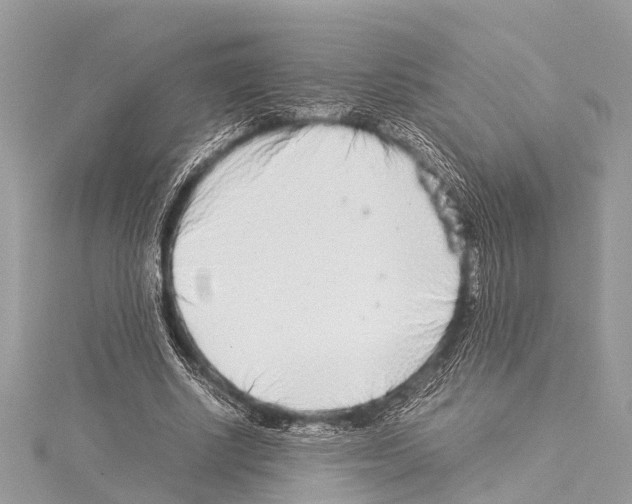 X0000114140634200911191144