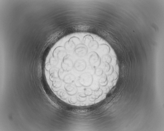 X0000114140638200911191144