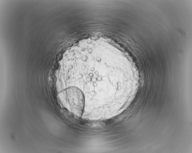 X0000114140670200911191144