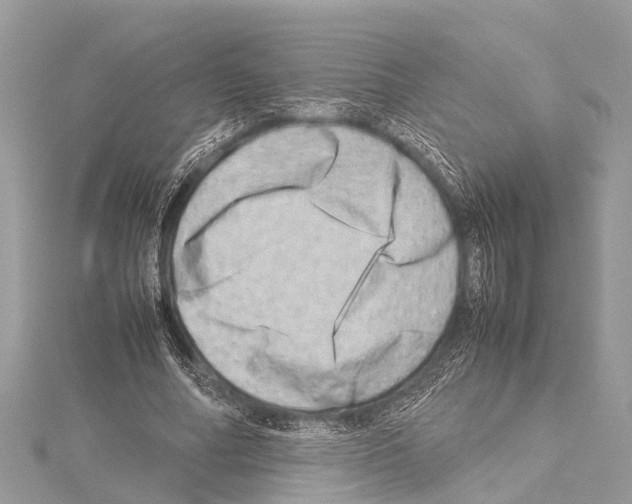 X0000114140682200911191144