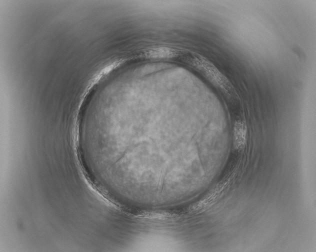 X0000114140726200911191143