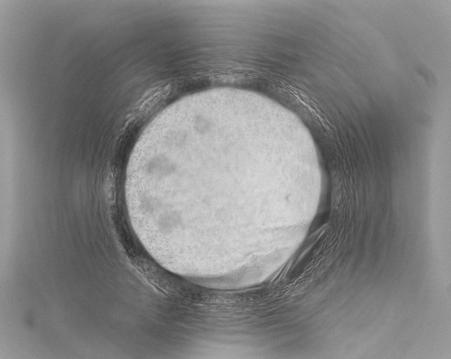 X0000114140738200911191143