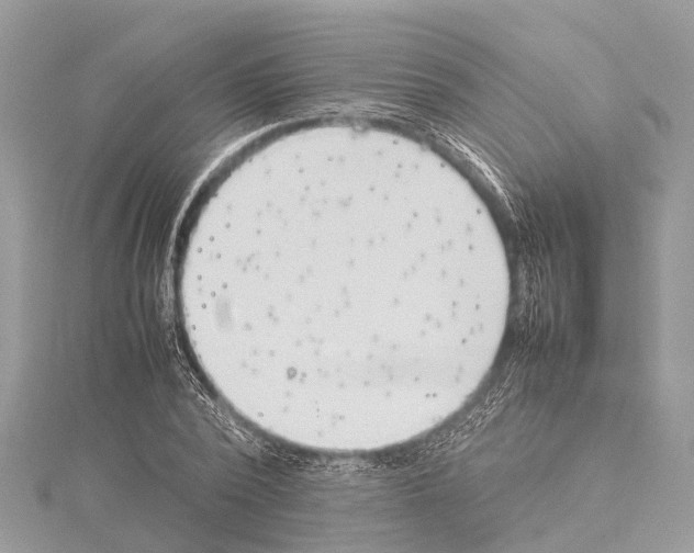 X0000114140784200911191142