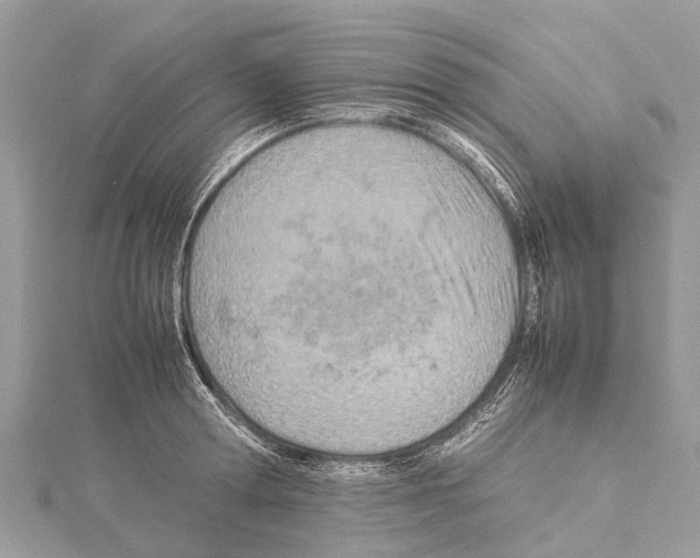 X0000114140802200911191142