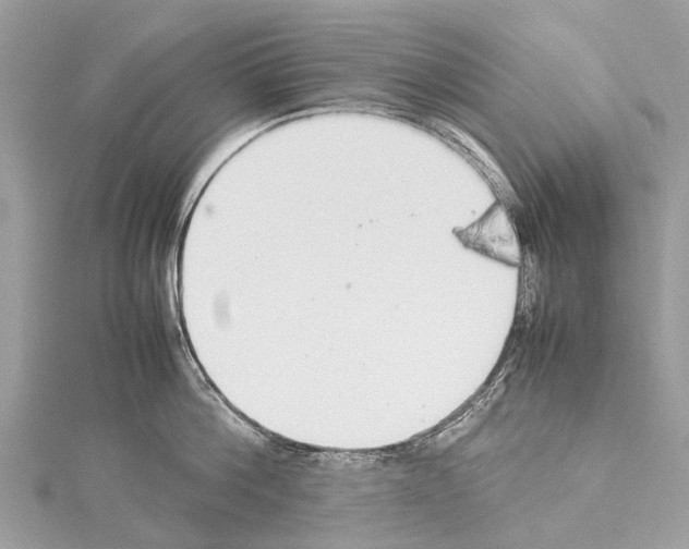 X0000114140812200911191142