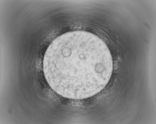 X0000114140820200911191141