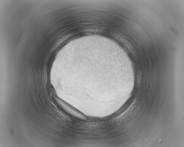 X0000114140829200911191142