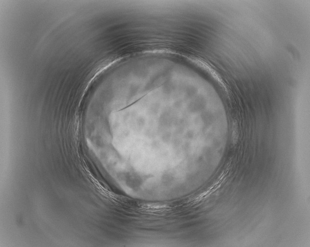 X0000114140831200911191142