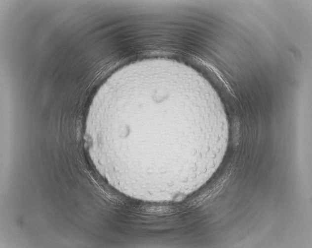 X0000114140833200911191142