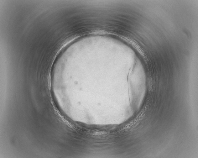 X0000114140839200911191142