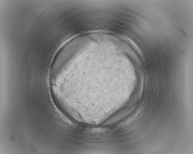 X0000114140847200911191142