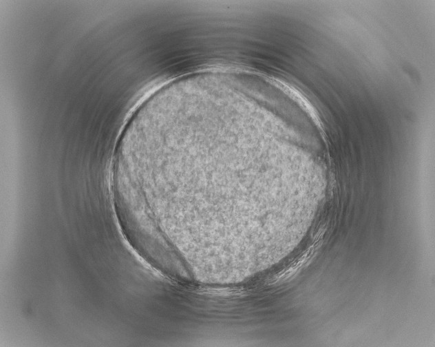 X0000114140855200911191142