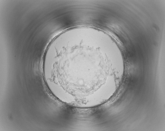 X0000114140856200911191142