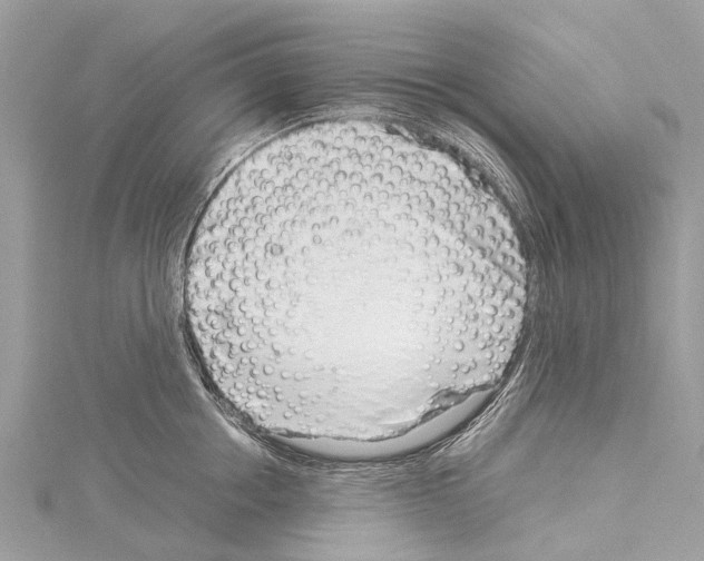 X0000114140858200911191142