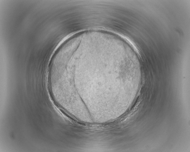 X0000114140903200911191141