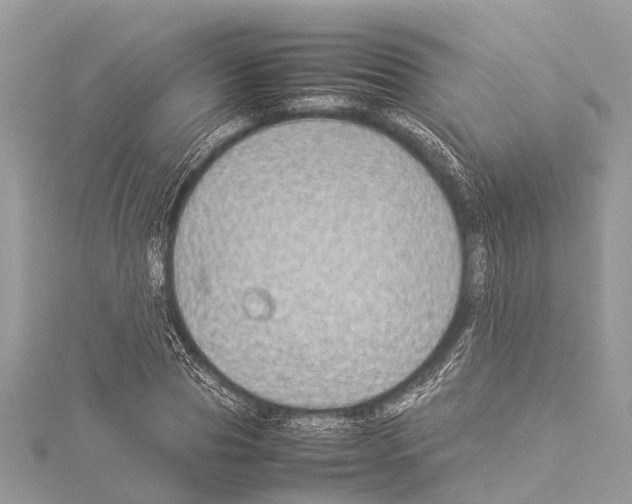 X0000114140929200911191140