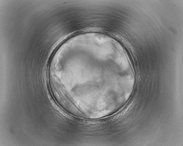 X0000114140941200911191140