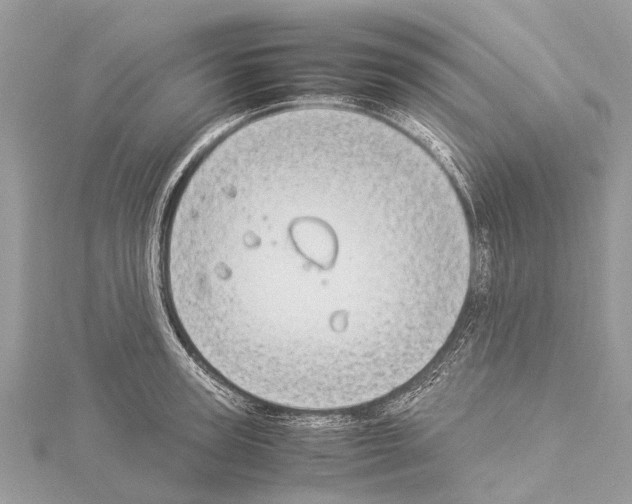 X0000114140947200911191140