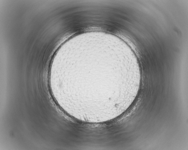 X0000114140949200911191140