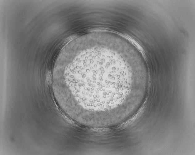 X0000114140953200911191140