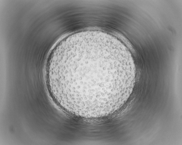 X0000114140955200911191141