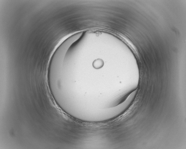 X0000114140956200911191141