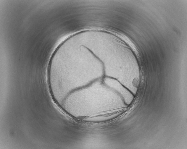 X0000114140958200911191141