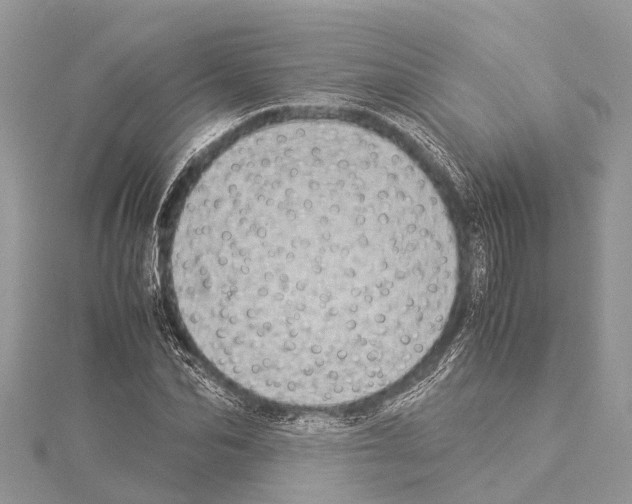 X0000114140974200911191140