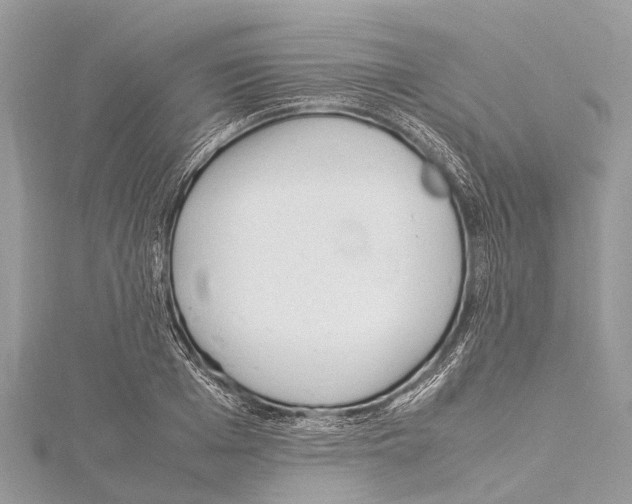 X0000114140985200911191139