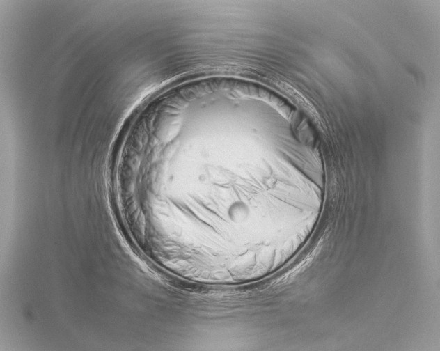 X0000114140989200911191139