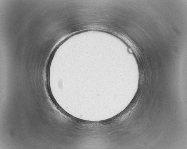 X0000114140999200911191139