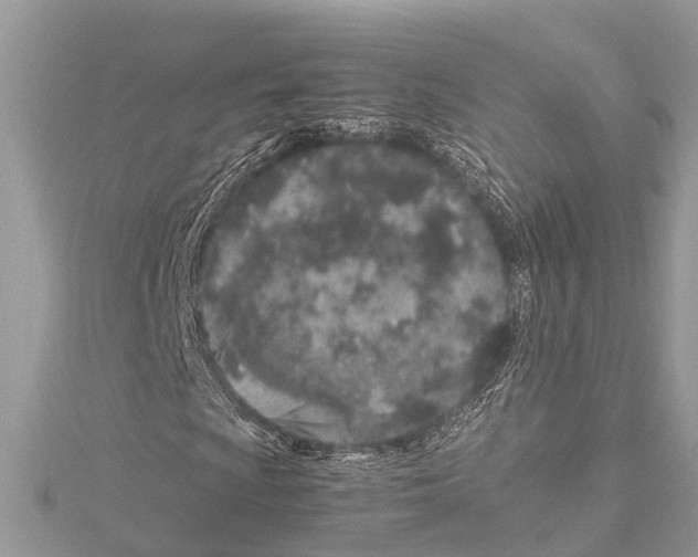 X0000114141009200911191138