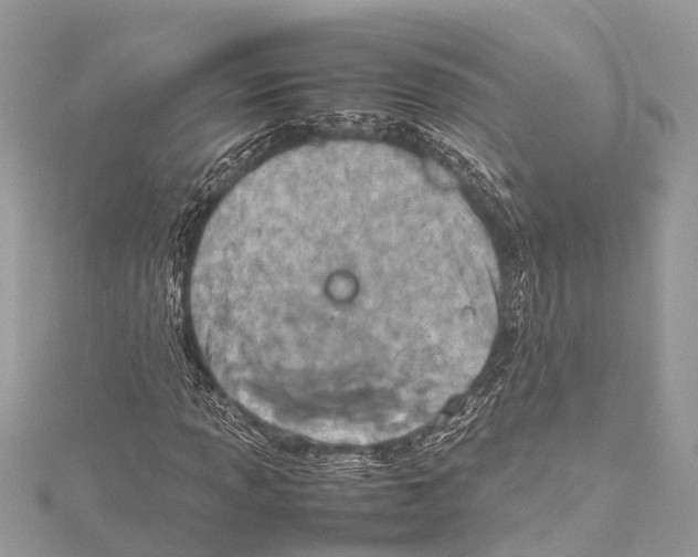 X0000114141013200911191139