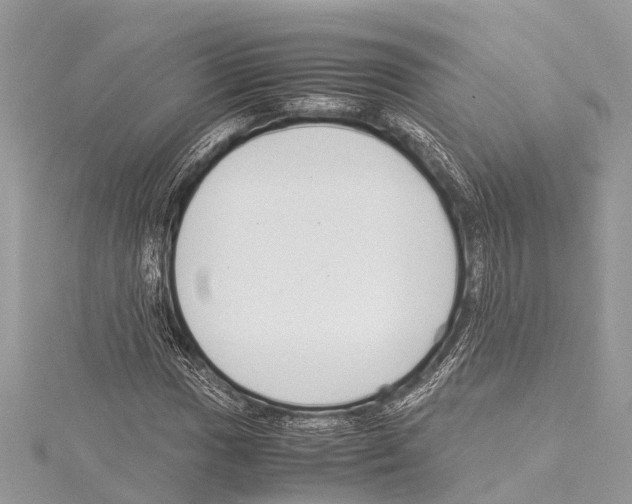 X0000114141017200911191139