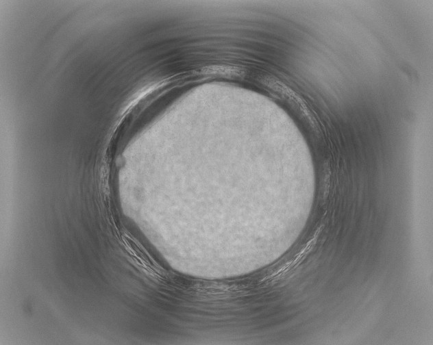 X0000114141019200911191139