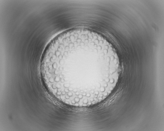 X0000114141020200911191139