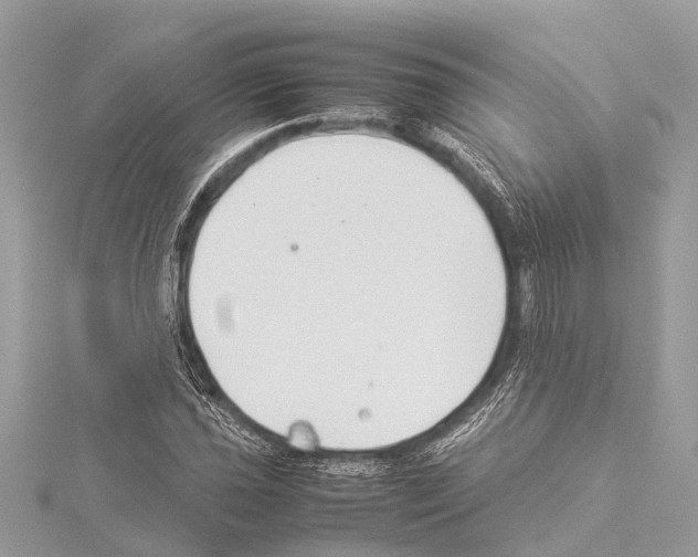 X0000114141021200911191139