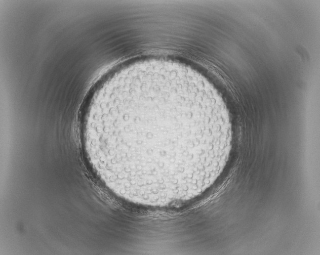 X0000114141022200911191139