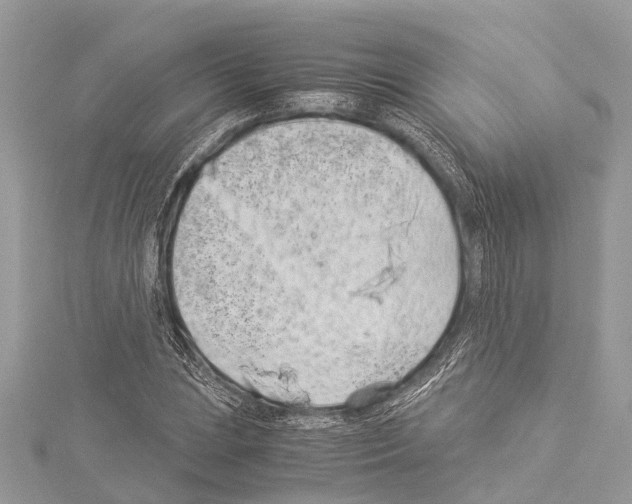 X0000114141023200911191139