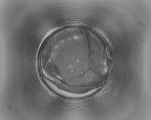 X0000114141024200911191139