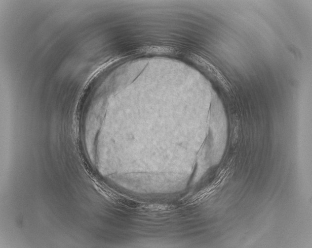 X0000114141027200911191139