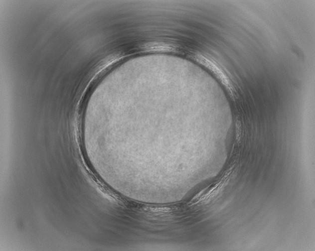 X0000114141043200911191139