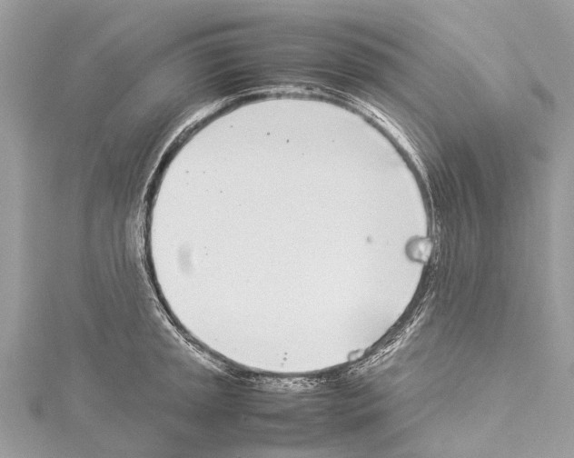 X0000114141045200911191139