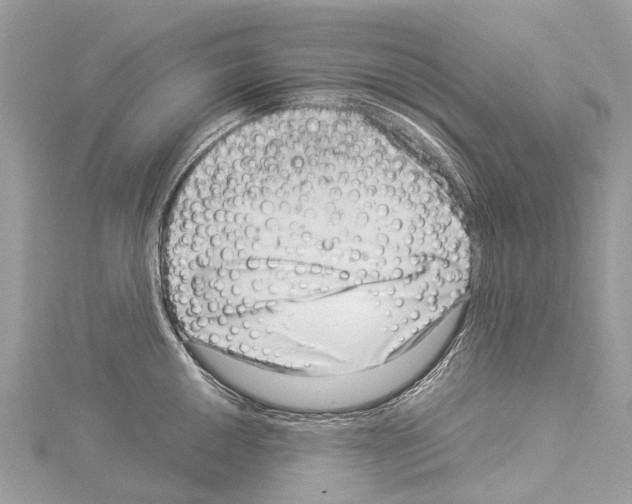 X0000114141050200911191139