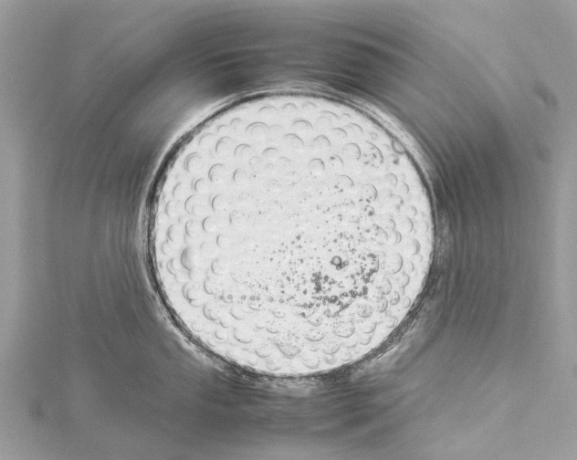 X0000114141053200911191139