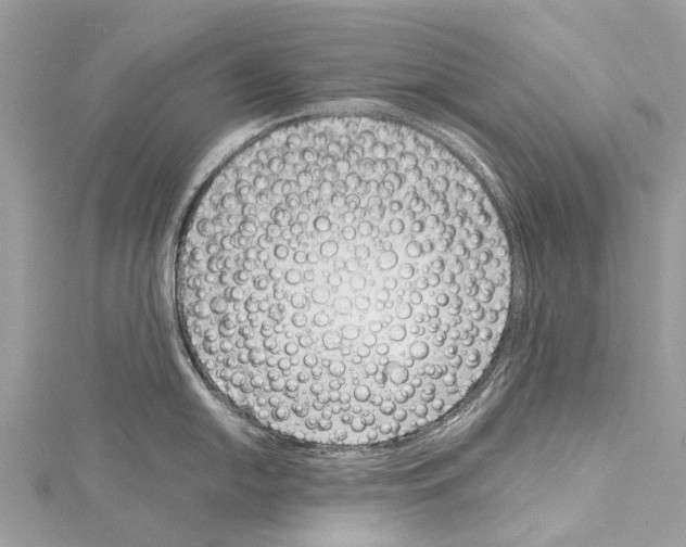 X0000114141054200911191139