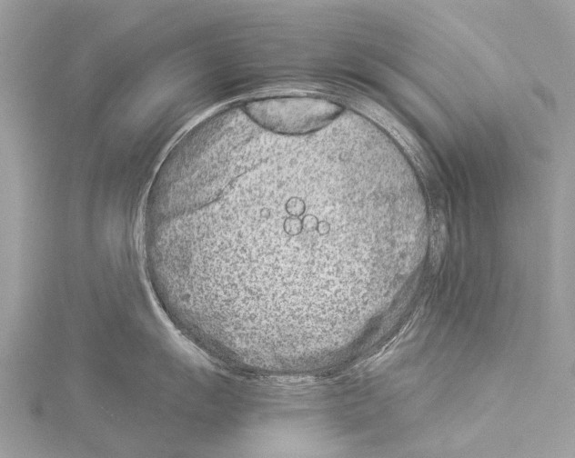 X0000114141055200911191139