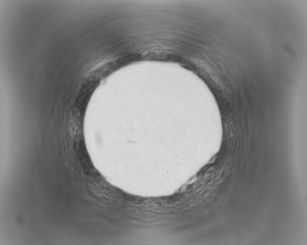 X0000114141063200911191138